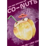 Funky Buddha Γυναικείο Κοντομάνικο T-Shirt Βιολετί