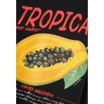 Funky Buddha Γυναικείο Αμάνικο T-Shirt Μαύρο