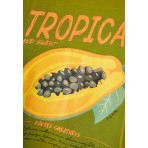 Funky Buddha Γυναικεία Αμάνικη Μπλούζα Πράσινη, Κίτρινη, Πορτοκαλί