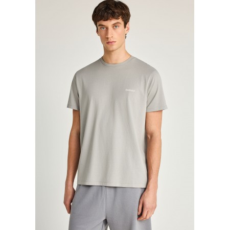 Funky Buddha The Basics Collection Ανδρικό Κοντομάνικο T-Shirt Γκρι