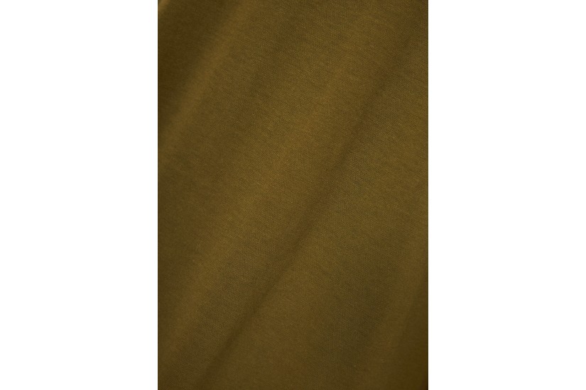 Funky Buddha The Basics Collection Ανδρικό Κοντομάνικο T-Shirt Λαδί