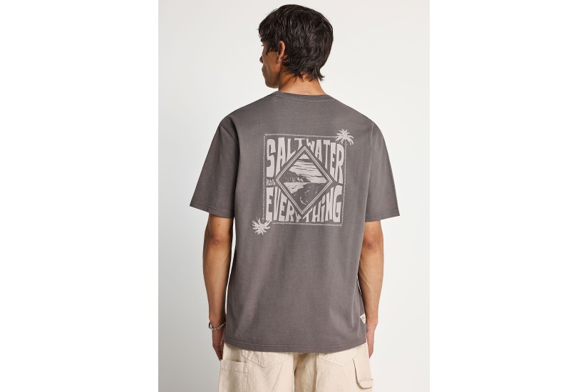 Funky Buddha Ανδρικό Κοντομάνικο T-Shirt Καφέ