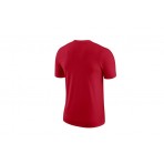 Nike Essential Chicago Bulls Ανδρικό Κοντομάνικο T-Shirt Κόκκινο
