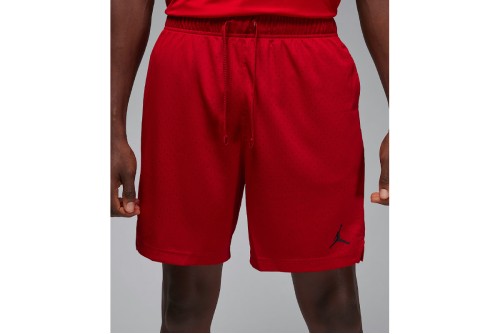 Jordan Sport Dri-Fit Mesh Βερμούδα Μπασκετική Ανδρική (FN5816 687)