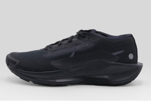 Nike Pegasus Trail 5 Gore-Tex Αθλητικά Παπούτσια Trail Running (FQ0908 002)