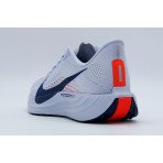Nike Pegasus Plus Αθλητικά Παπούτσια Για Τρέξιμο (FQ7261 005)