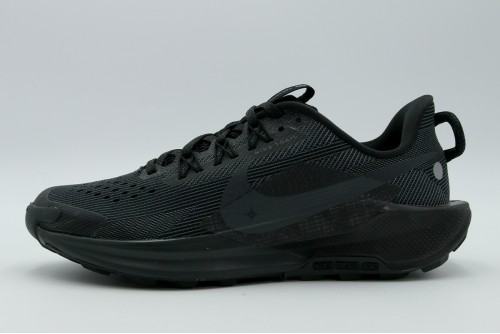 Nike Pegasus Trail 5 Παπούτσια Trail Running (FV5638 001)