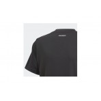 Adidas Performance B Club 3S Tr Tee (GK8179)