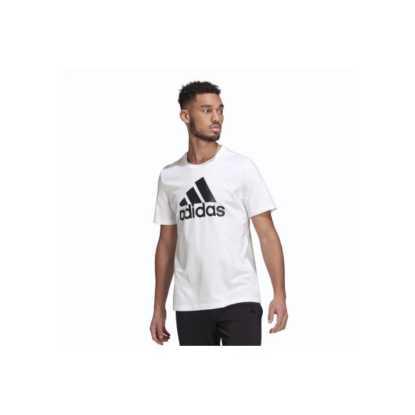 Adidas Performance M Bl Sj T (GK9121)