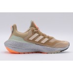 Adidas Performance Ultraboost 22 C.rdy Ii W Παπούτσια Για Τρέξιμο-Περπάτημα (GX6736)