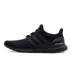 Adidas Performance Ultraboost 1.0 Παπούτσια Για Τρέξιμο-Περπάτημα (GY9136)