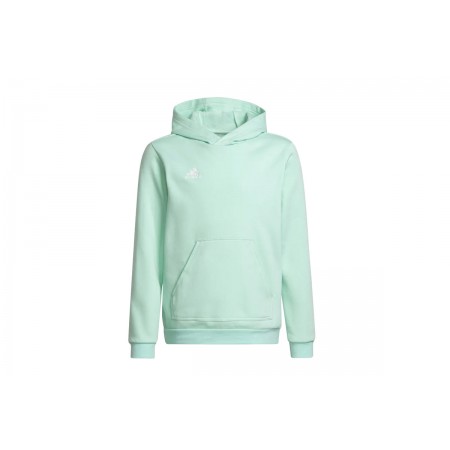 Adidas Performance Ent22 Hoody Y 