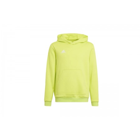 Adidas Performance Ent22 Hoody Y 