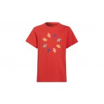 Adidas Originals Adidas Originals  T-Shirt Tee (HF2132)