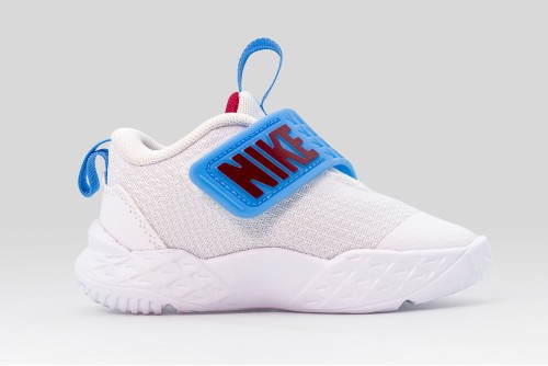 Nike Team Hustle D 12 Sneakers (HF6281 102)