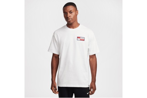 Nike Paris Saint-Germain Premium T-Shirt Ανδρικό (HJ3778 121)