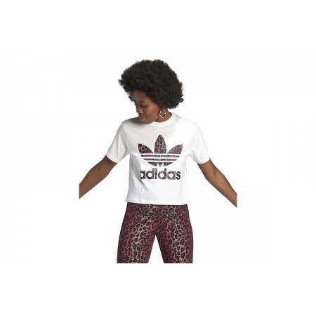 Adidas Originals T-Shirt Logo Γυναικείο 