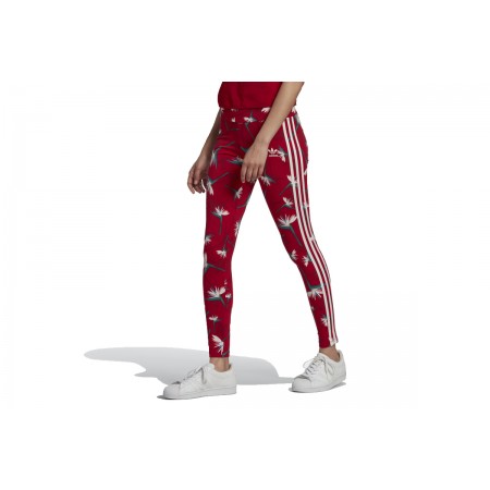 Adidas Originals Leggings Κολάν Μακρύ Γυναικείο 