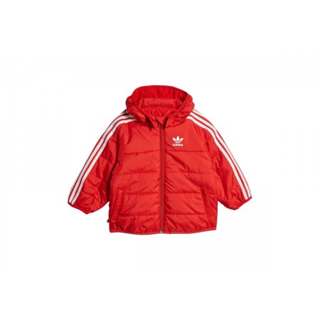 Adidas Originals Padded Jacket 
