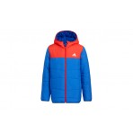 Adidas Performance Jk Synthetic Jk Μπουφάν Puffer (HM5177)