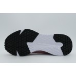 Nike W Run Defy (HM9593 600)
