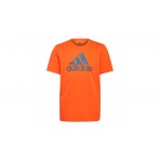 Adidas Performance B Bl T T-Shirt (HP0833)
