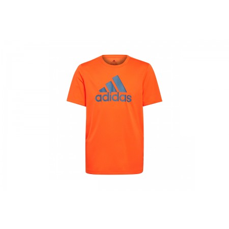 Adidas Performance B Bl T T-Shirt 