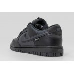 Nike Dunk Low Gtx (HQ2053 001)