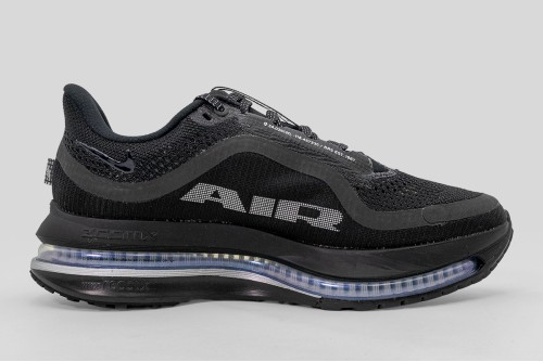 Nike Pegasus Premium Αθλητικά Παπούτσια Για Τρέξιμο (HQ2593 004)