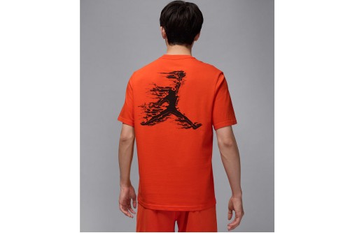 Jordan Sport Dri-Fit T-Shirt Ανδρικό (HQ8970 891)