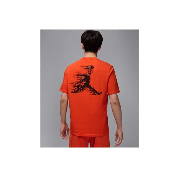 Jordan T-Shirt (HQ8970 891)