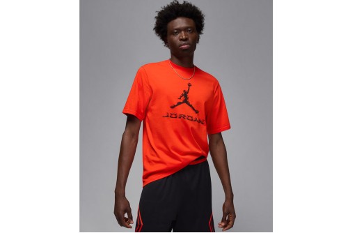 Jordan Sport Dri-Fit T-Shirt Ανδρικό (HQ9091 891)