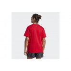 Adidas Performance M Bl Sj T T-Shirt Ανδρικό (IC9352)