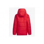 Adidas Performance S Pad Μπουφάν Puffer (IL6078)