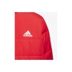 Adidas Performance Jk 3S Pad Jkt Jacket (IL6078)