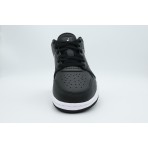 Jordan Court Connect Low Sneakers (IQ5698 001)
