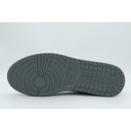 Jordan Court Connect Low Sneakers (IQ5698 005)