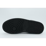 Jordan Court Connect Low Sneakers (IQ6016 001)