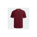 Adidas Performance As Roma 24-25 Home Jersey Φανέλα Ομάδας (IS5846)