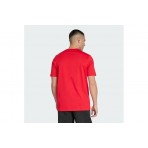 Adidas Performance Manchester United Dna Graphic Ανδρικό Κοντομάνικο T-Shirt Κόκκινο, Λευκό 