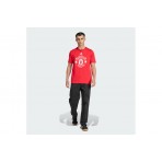 Adidas Performance Manchester United Dna Graphic Ανδρικό Κοντομάνικο T-Shirt Κόκκινο, Λευκό 