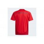Adidas Performance Fc Bayern 24-25 Home Jersey Φανέλα Ομάδας (IT2249)