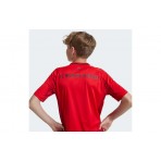 Adidas Performance Fc Bayern 24-25 Home Jersey Φανέλα Ομάδας (IT2249)