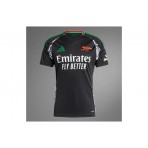 Adidas Performance Arsenal 24-25 Away Jersey Φανέλα Ομάδας (IT6148)