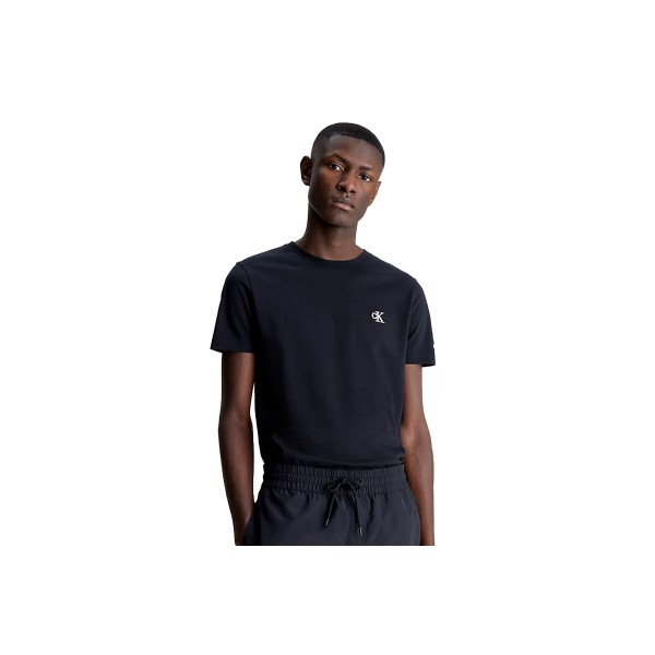 Calvin Klein Cotton Slim Fit T-Shirt Ανδρικό (J30J314544 BAE)