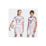 Adidas Performance Fc Bayern 25-26 Away Jersey Φανέλα Ομάδας (JN8524)