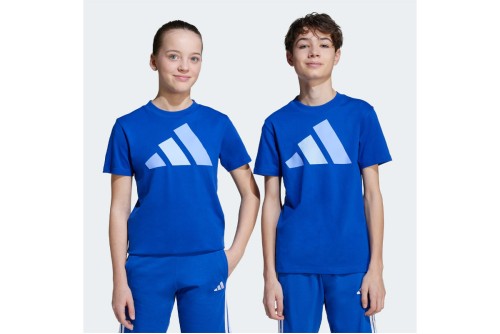 Adidas Performance Essentials Big Logo T-Shirt (JV9866)