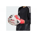 Adidas Performance Predator Goalkeeper Training Γάντια Τερματοφ΄ύλακα (KA7792)