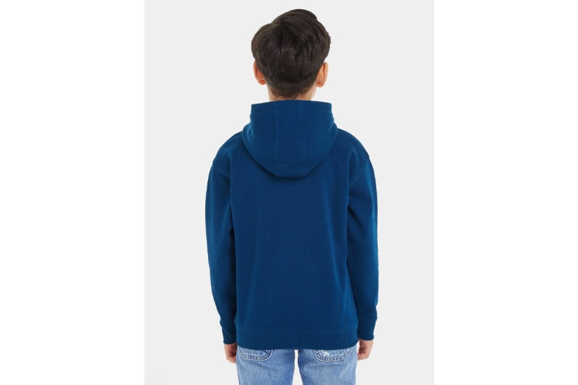 Tommy Jeans Flag Hoodie (KB0KB08490 C3J)
