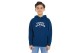 Tommy Jeans Flag Hoodie (KB0KB08490 C3J)